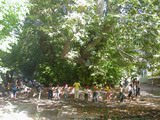 Bogi-Shamol Hotel. Foto