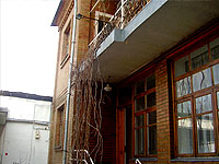 Gulnara Gasthaus - Privathotel in Taschkent Gulnara Gasthaus - Privathotel in Taschkent