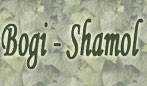 ���� ������ Bogi Shamol